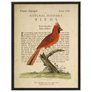 The Virginia Nightingale Custom Framed Art