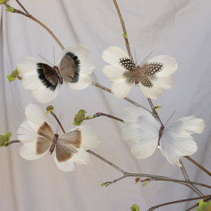 Natural Feather White & Brown Butterflies on Clips