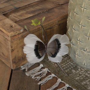 Natural Feather White & Brown Butterflies on Clips