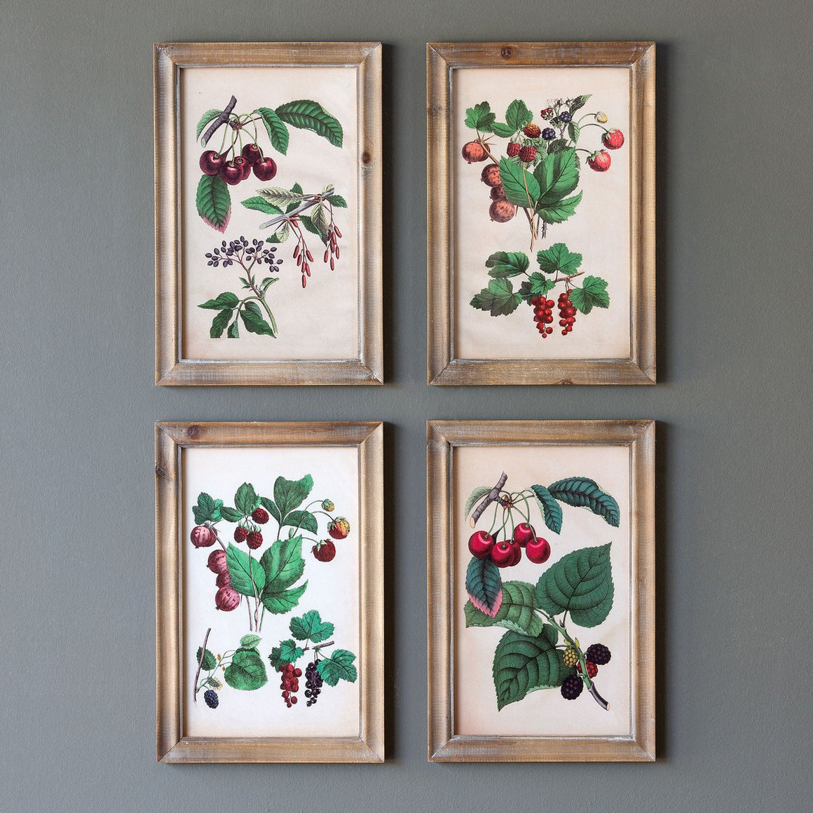 Cherry Botanical Study Framed Prints