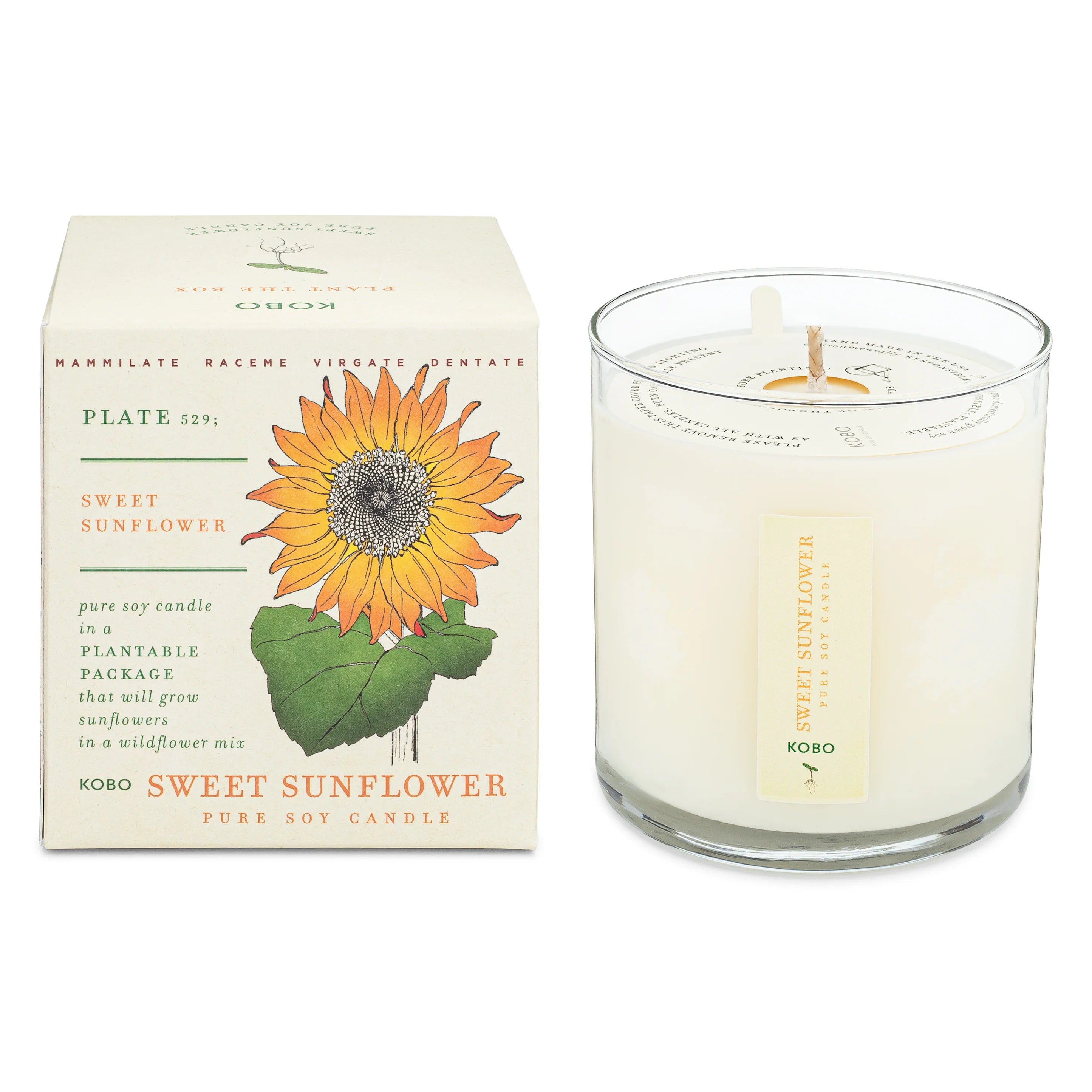 Plant the Box Candle | Sweet Sunflower