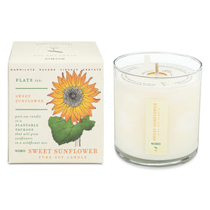 Plant the Box Candle | Sweet Sunflower