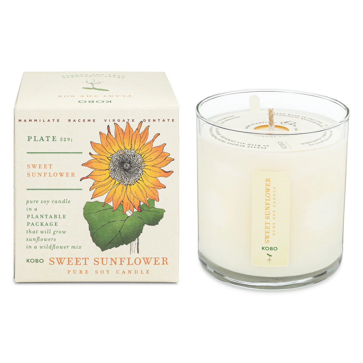 Plant the Box Candle | Sweet Sunflower
