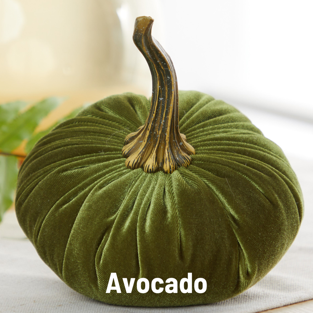 Velvet Pumpkin | Large - Bronze