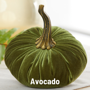 Velvet Pumpkin | Large - Bronze