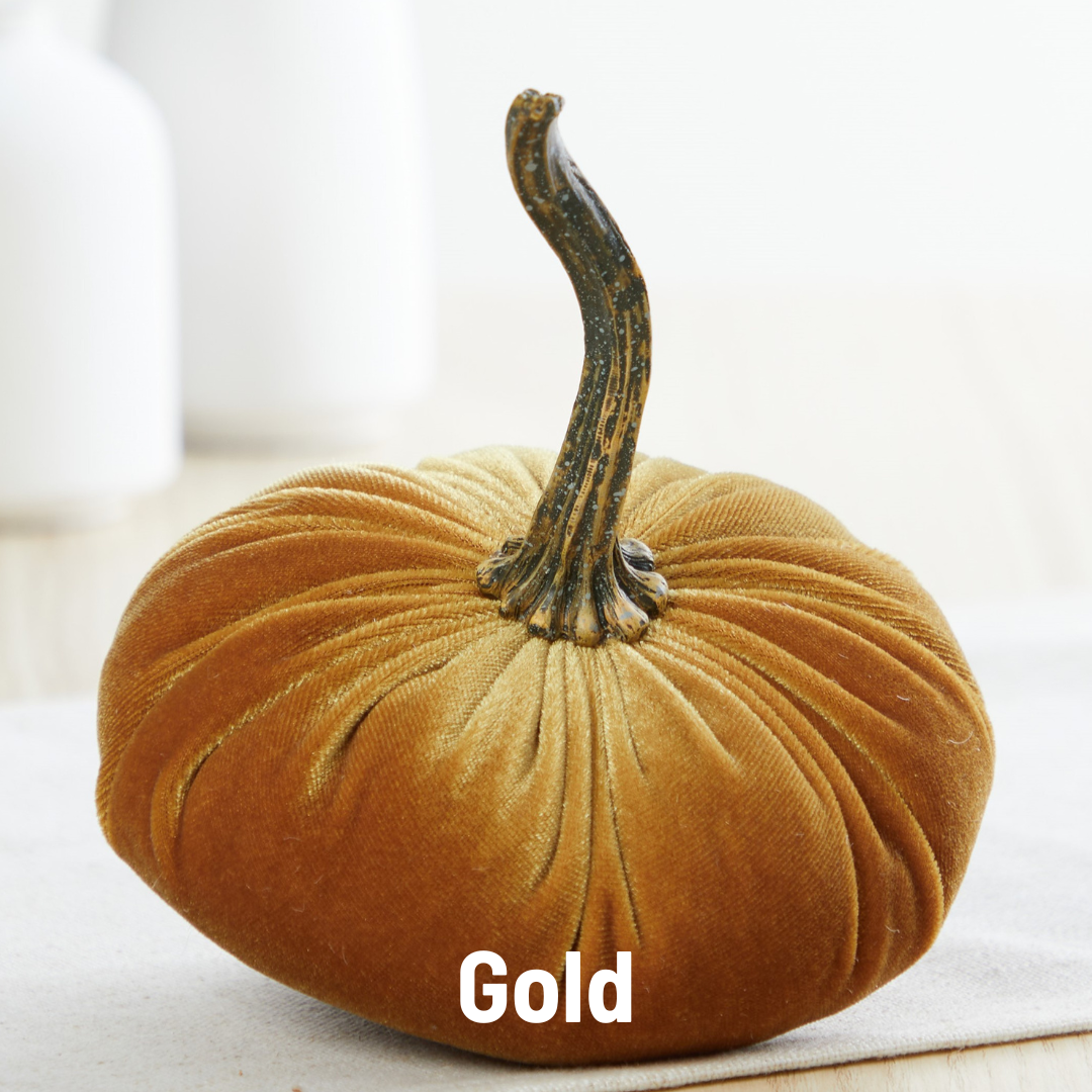 Velvet Pumpkin | Small- Gold