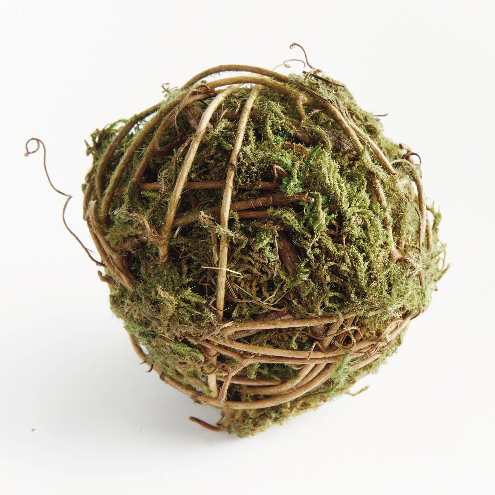 Mossy Vine Orb