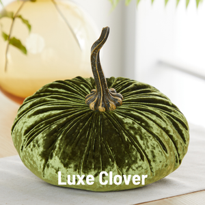 Velvet Pumpkin | Extra Large - Gold