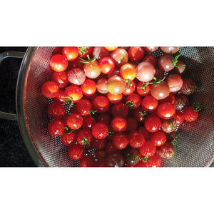 Precision Pierced Colander