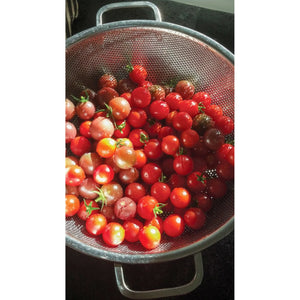 Precision Pierced Colander