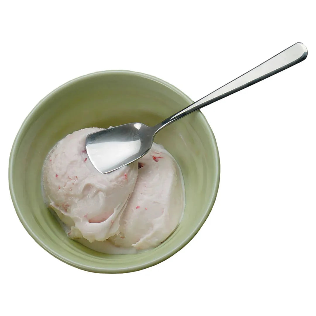 Ice Cream Spoon | Stainless