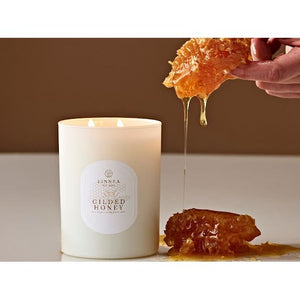 Linnea Candles 2 Wick Candles | Seasonal (Fall/Winter )