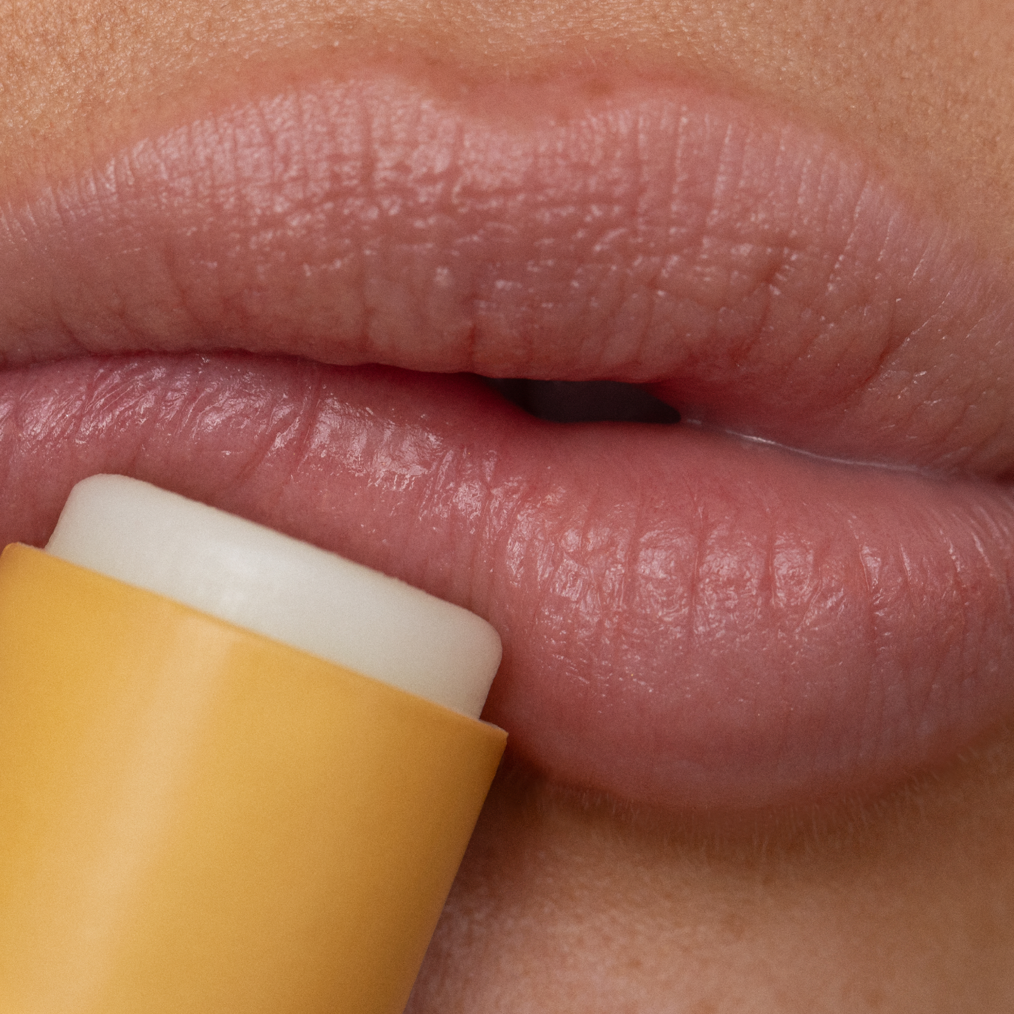 Lip Balm | Lemon Bloom