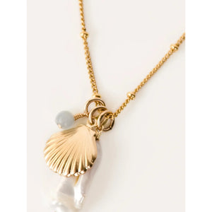 Seashell Necklace