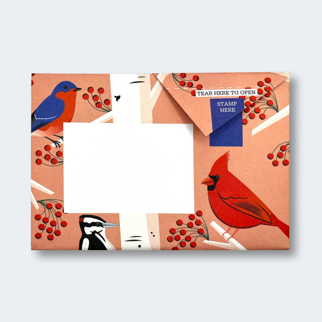 Pigeon Letter Pack | Carnival of Colour