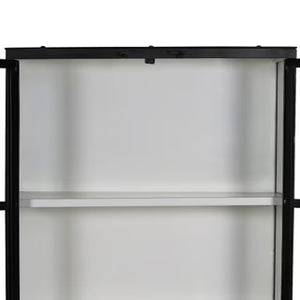 Black Iron & Glass Cabinet