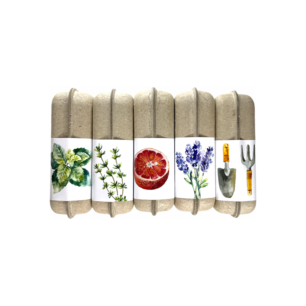 Organic Wild Thyme Soap
