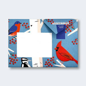 Pigeon Letter Pack | Carnival of Colour