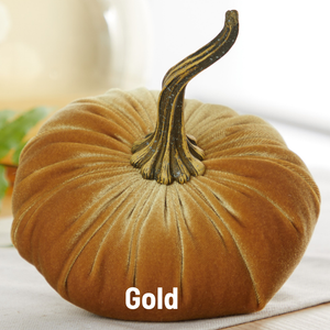 Velvet Pumpkin | Large - Bronze