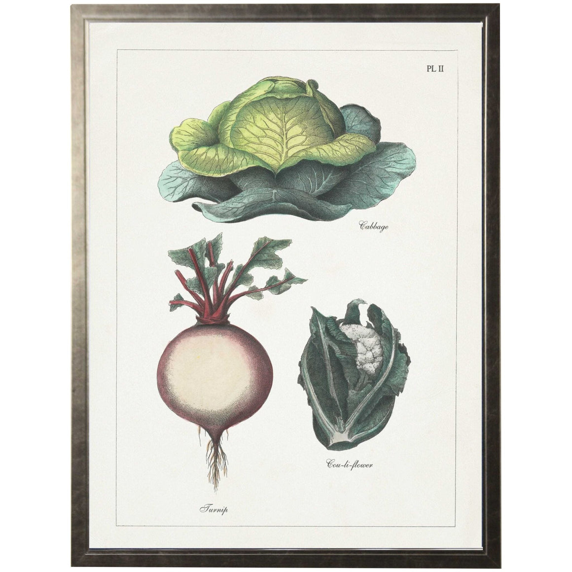 Vintage Vegetable Colored Bookplate