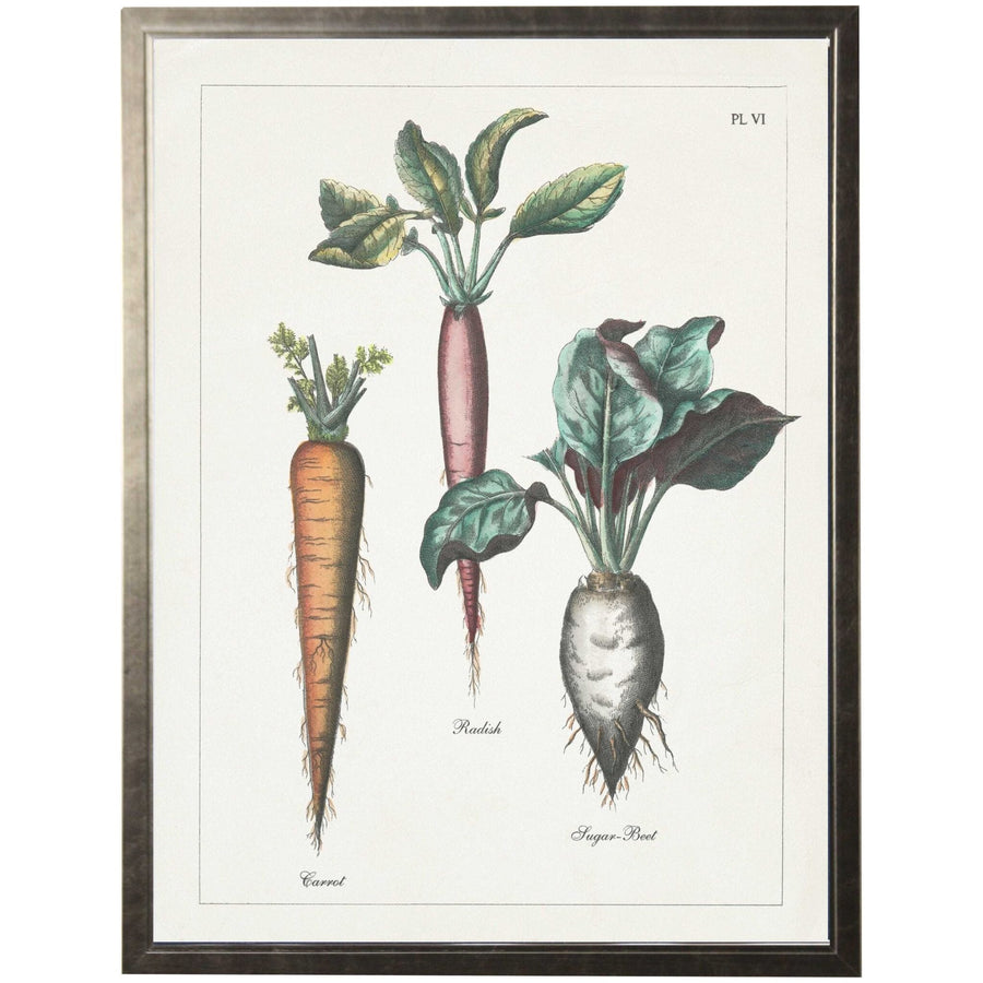 Vintage Vegetable Colored Bookplate