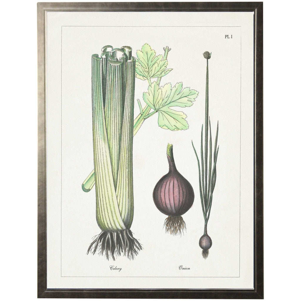 Vintage Vegetable Colored Bookplate