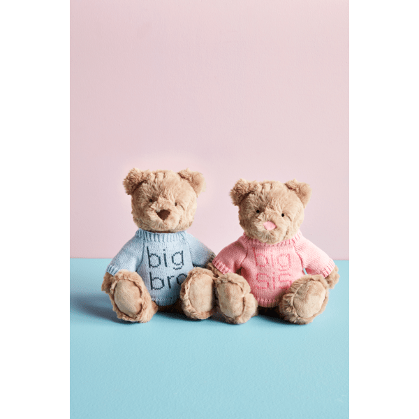 Big Bro/Big Sis Plush Bear w/Knit Sweater