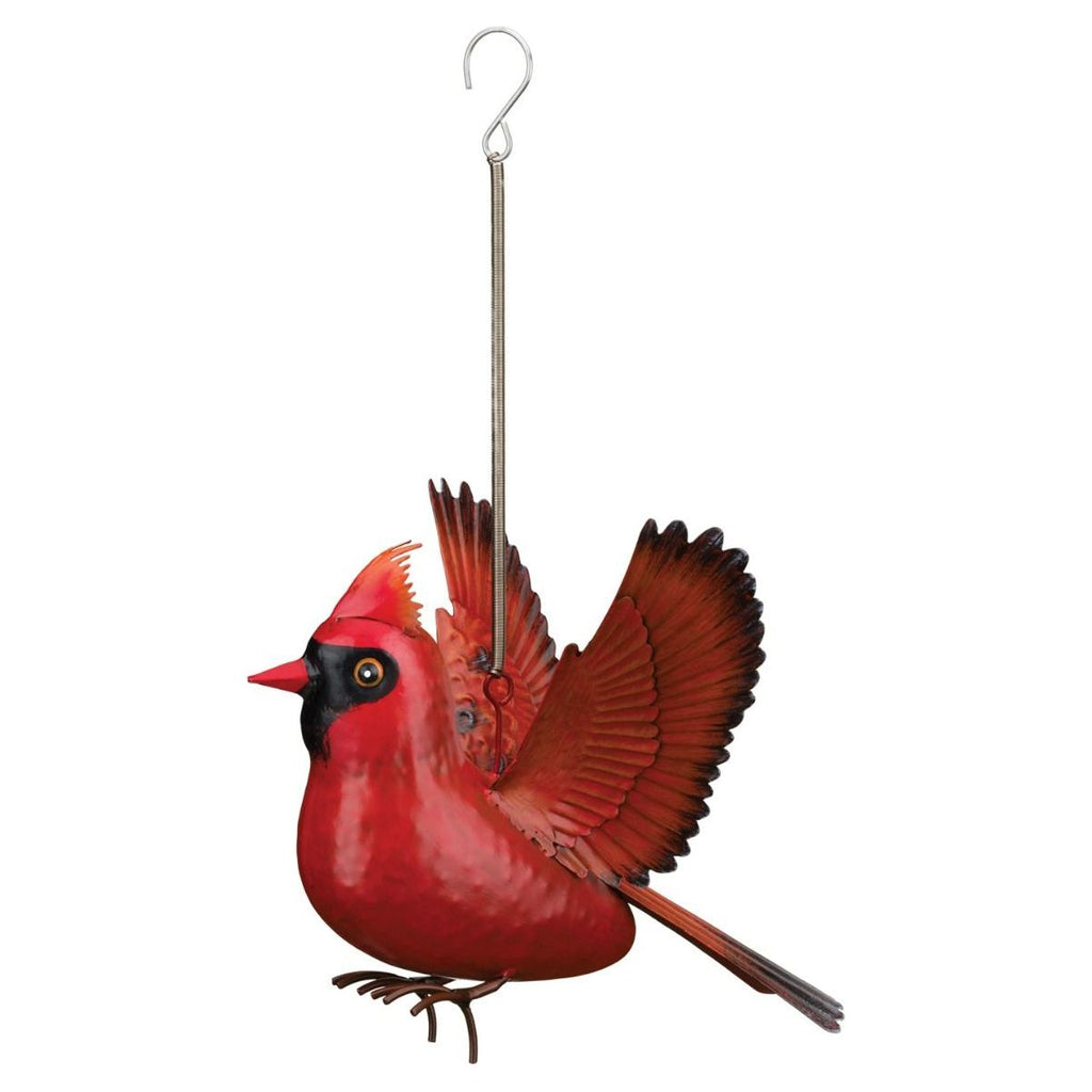 Bird Bouncie