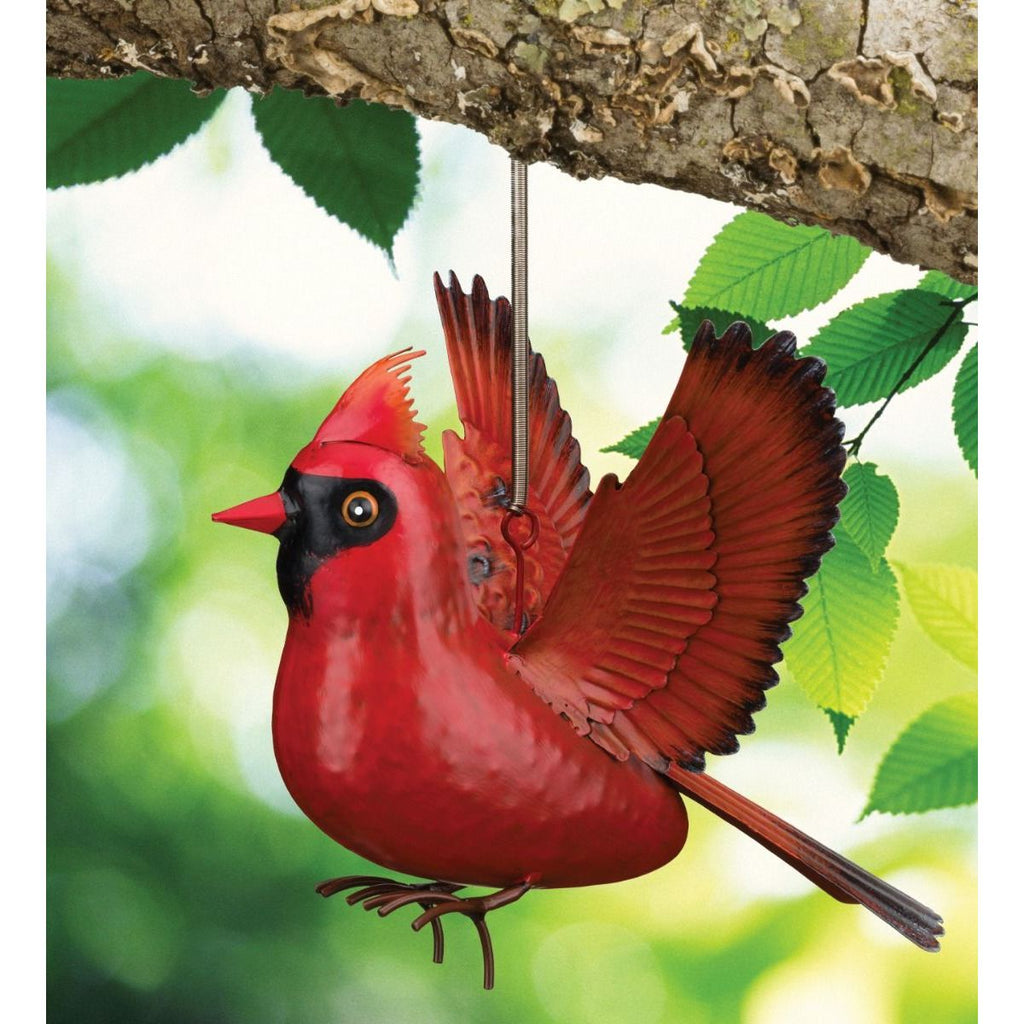 Bird Bouncie