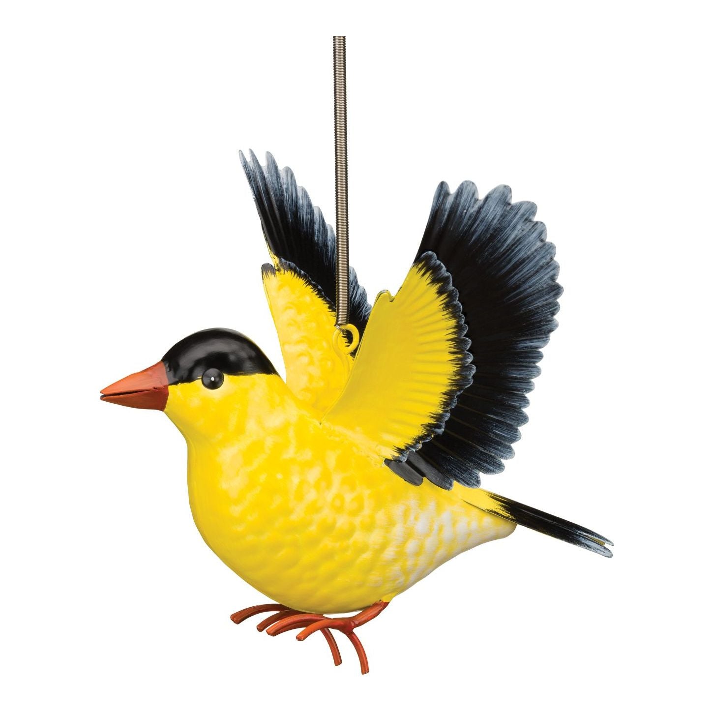 Bird Bouncie