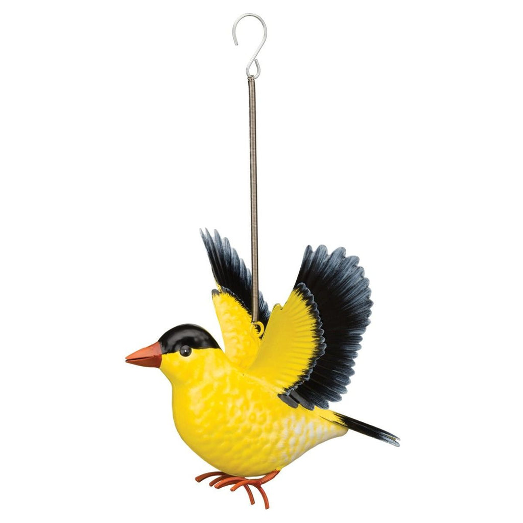 Bird Bouncie