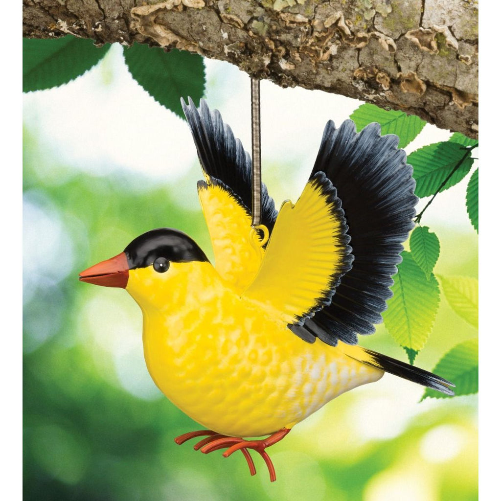Bird Bouncie