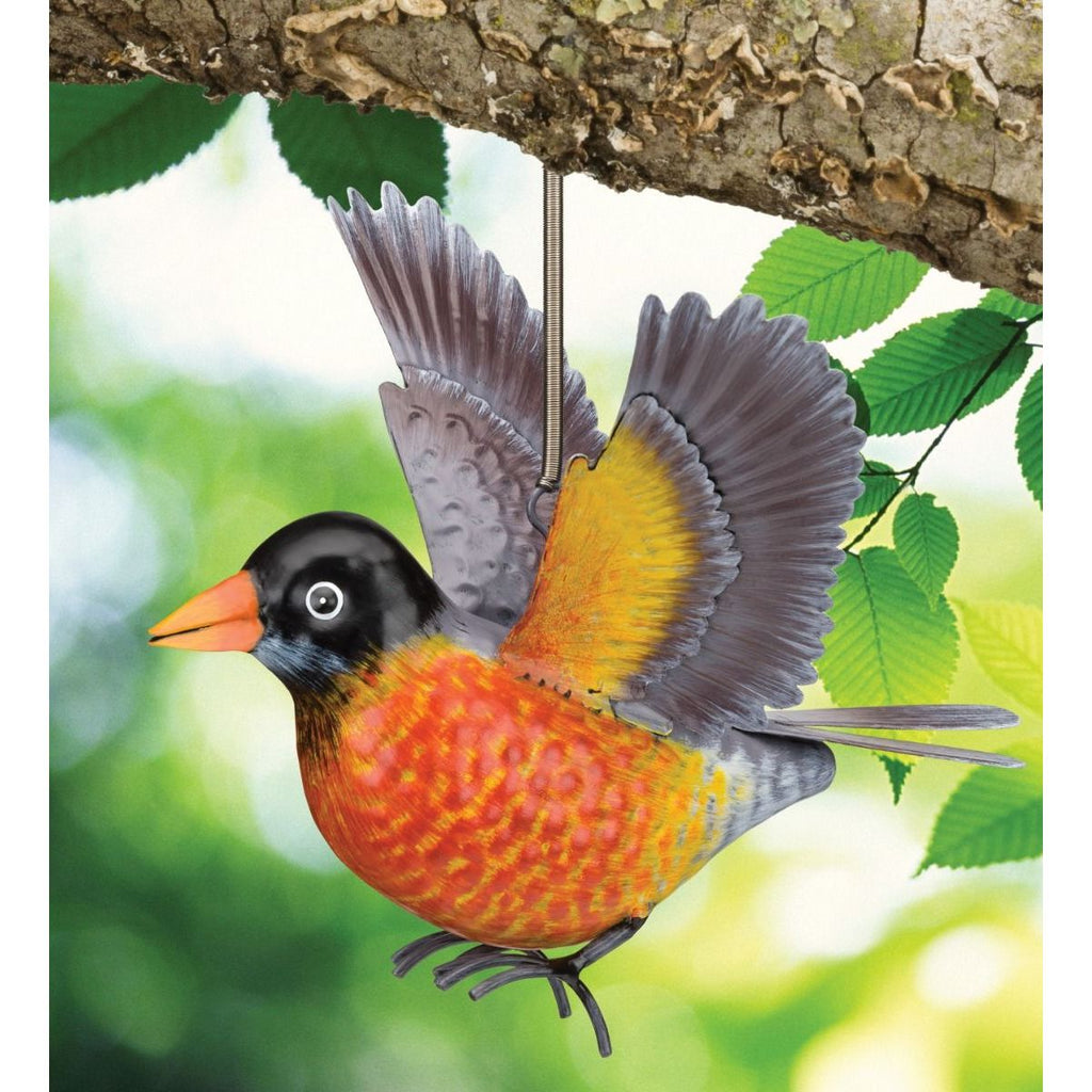 Bird Bouncie