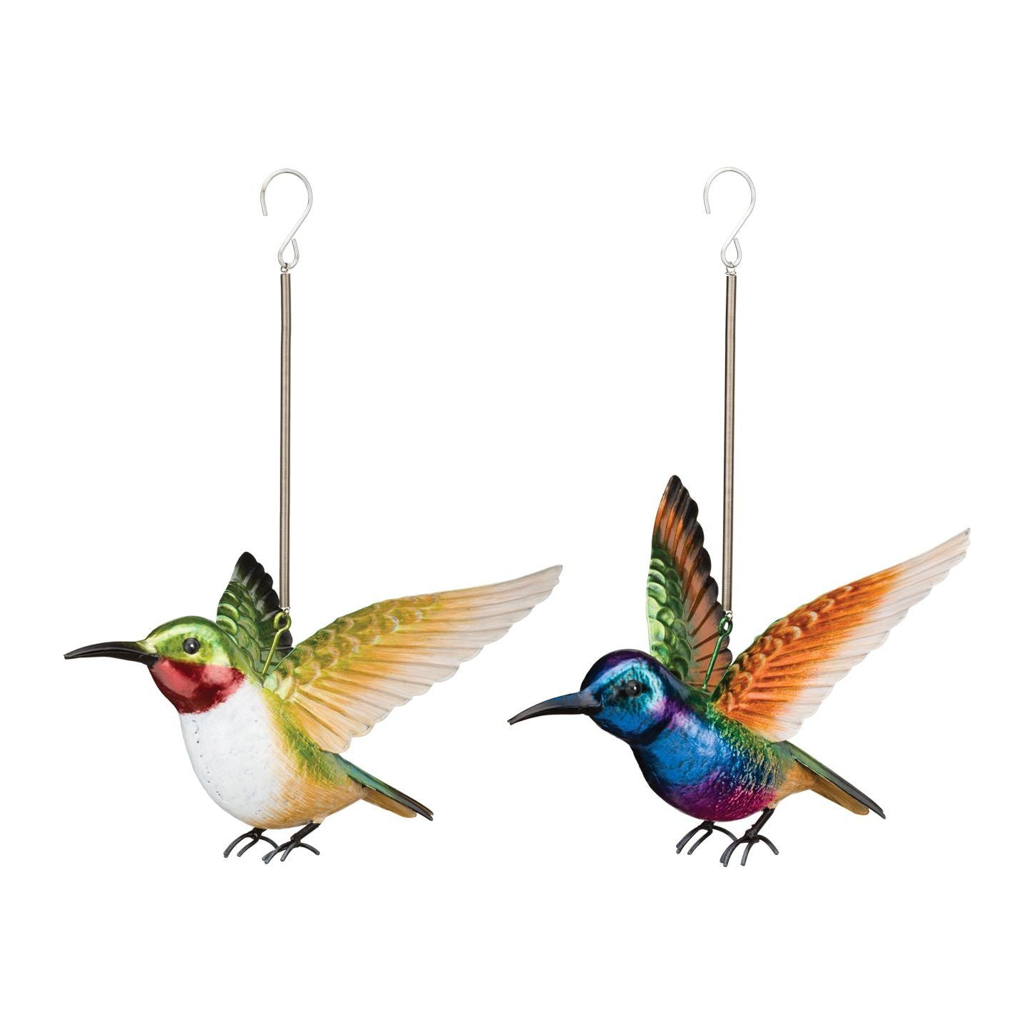 Hummingbird Bouncie