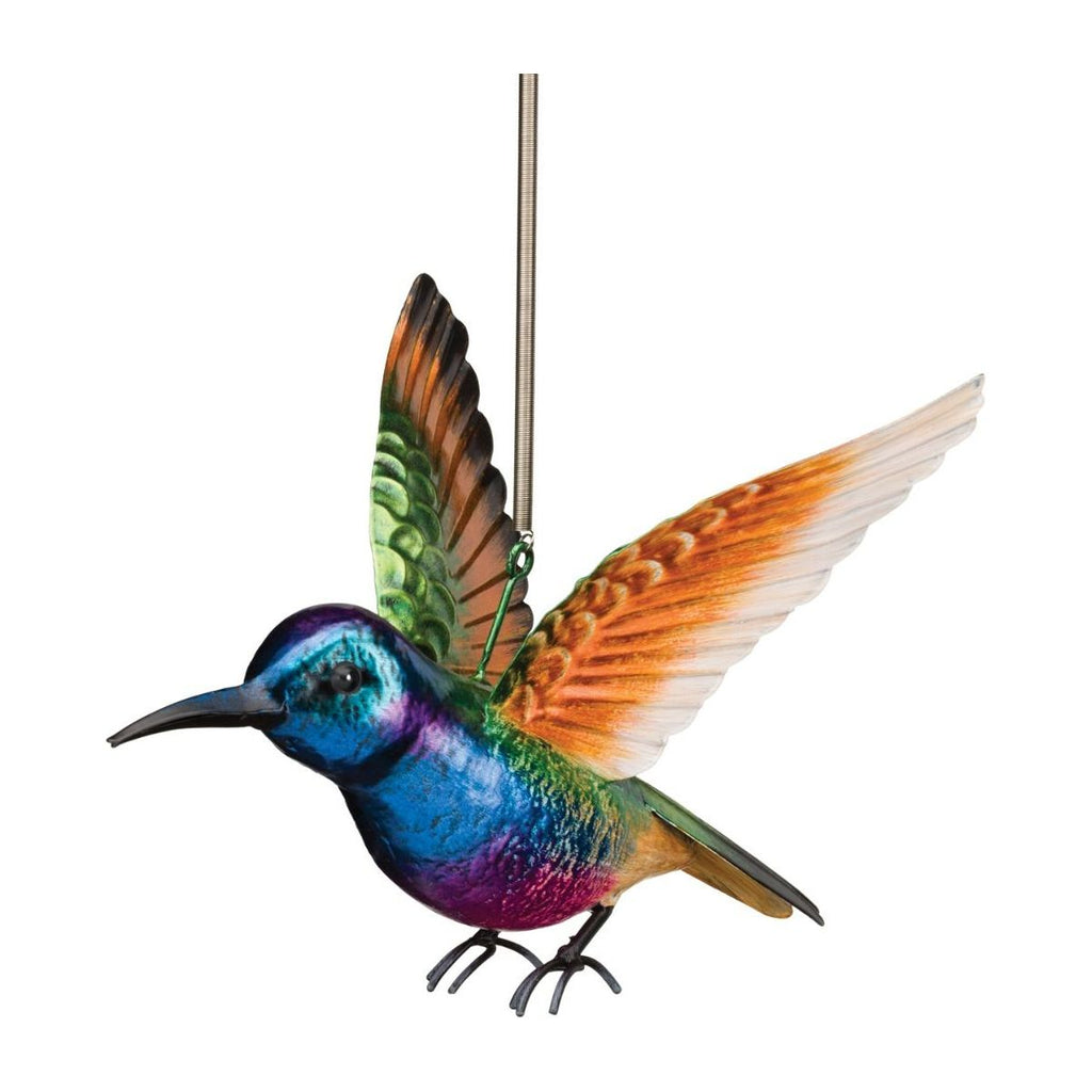 Hummingbird Bouncie