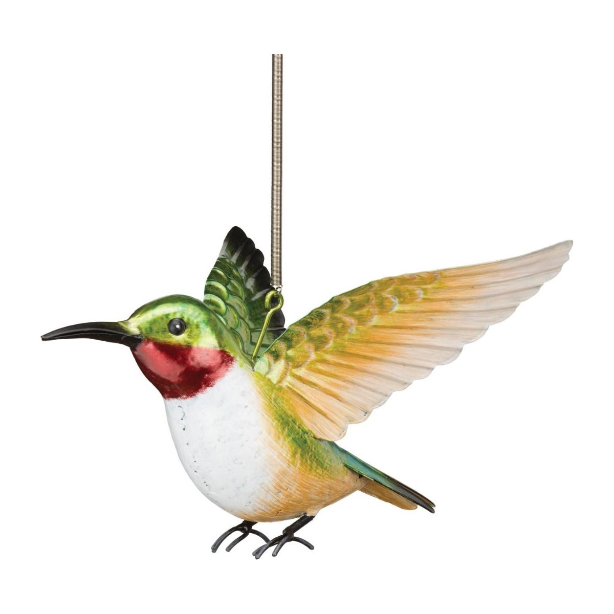 Hummingbird Bouncie