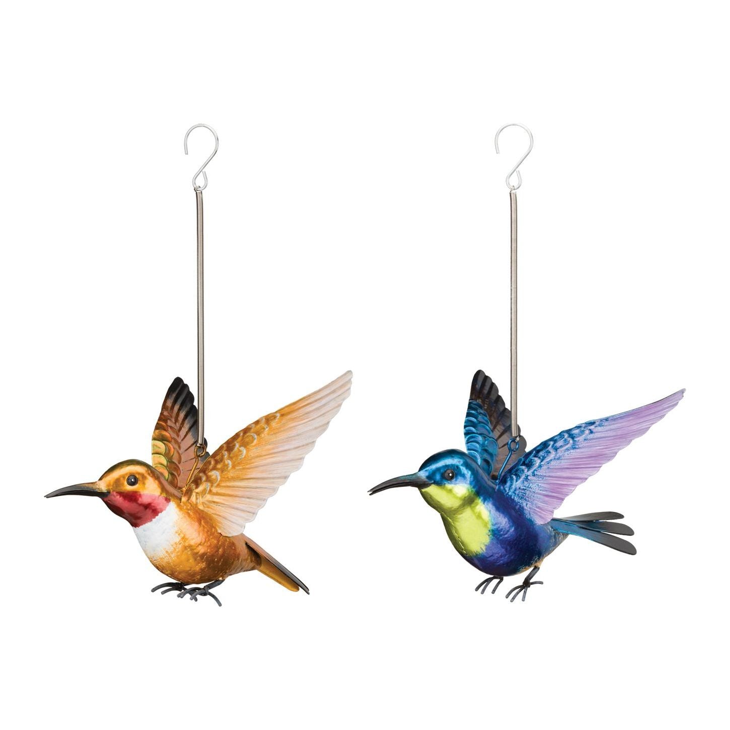 Hummingbird Bouncie