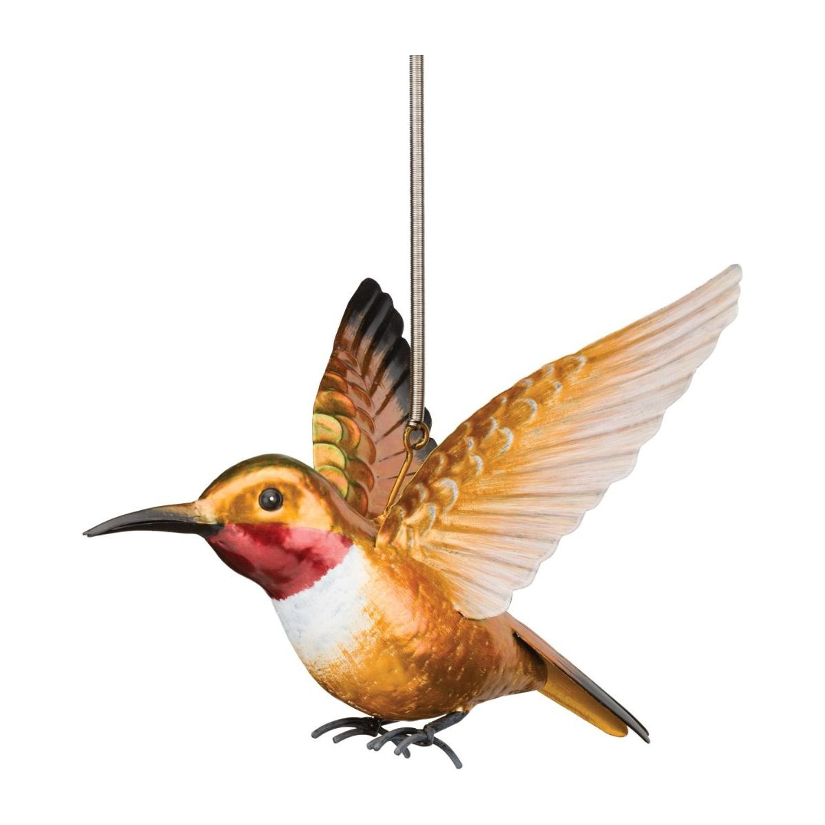 Hummingbird Bouncie