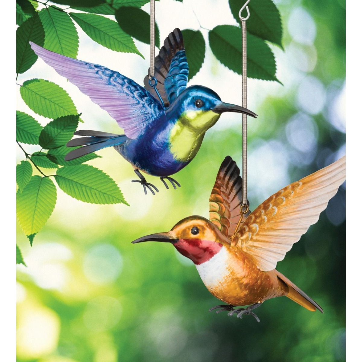 Hummingbird Bouncie