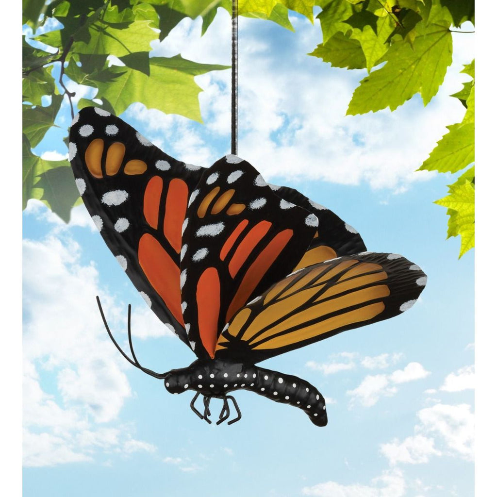 Butterfly Bouncie