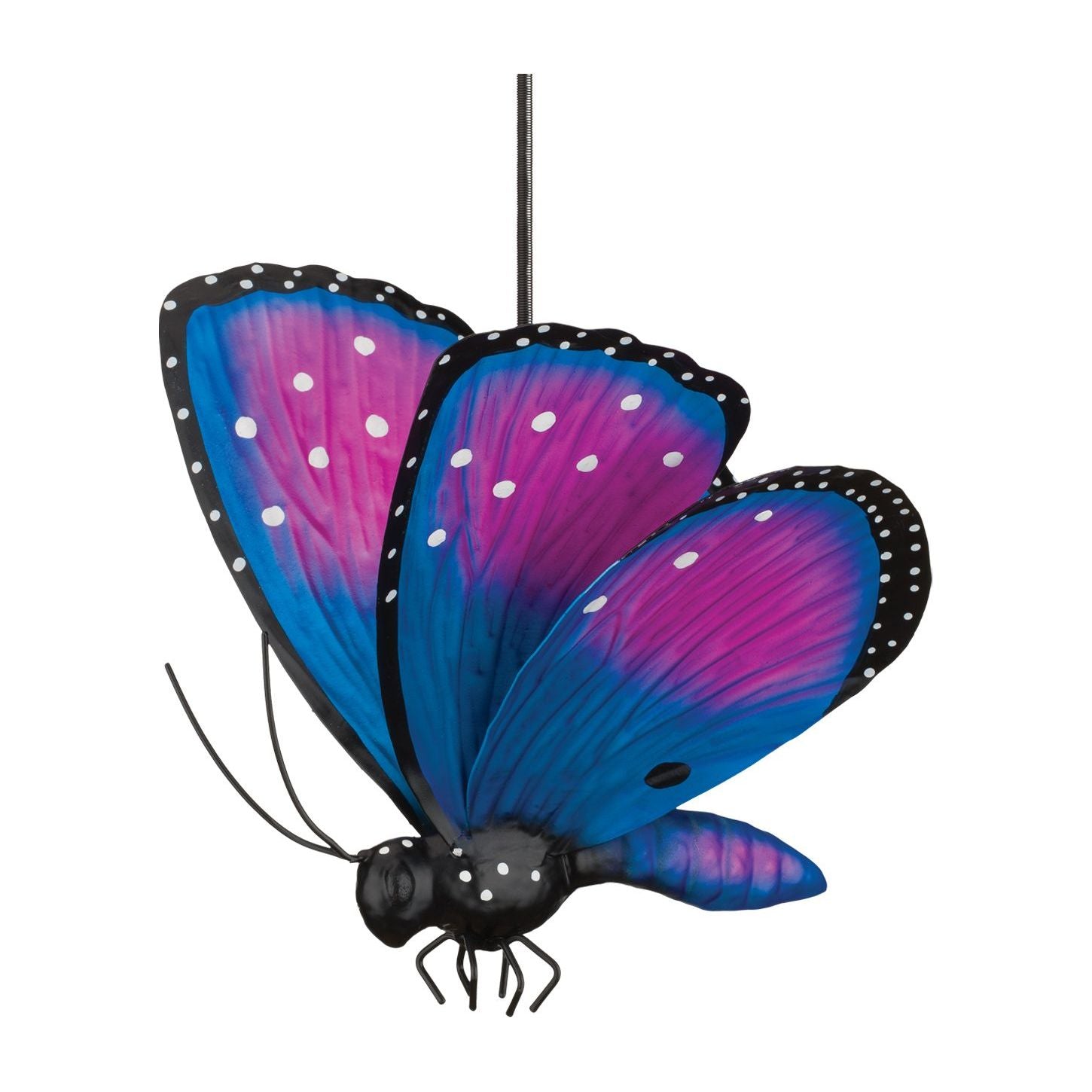 Butterfly Bouncie