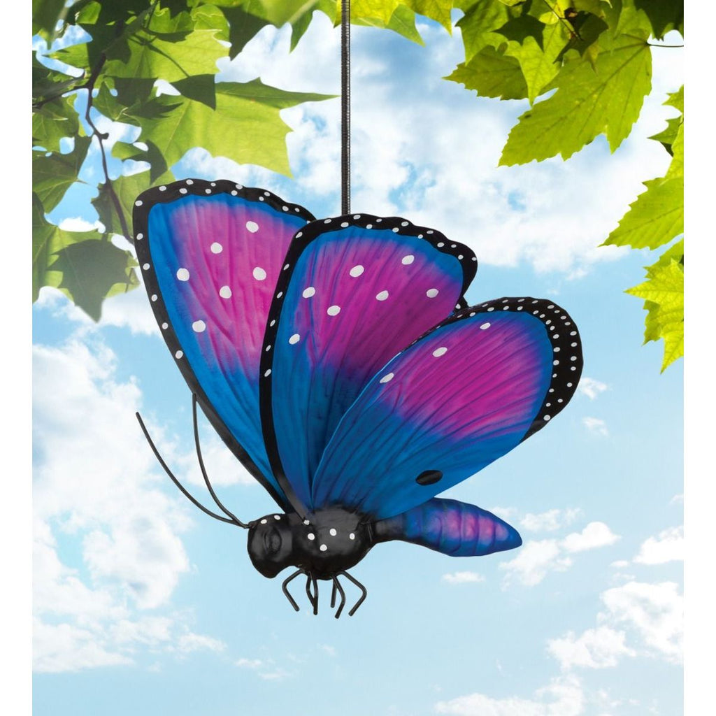 Butterfly Bouncie