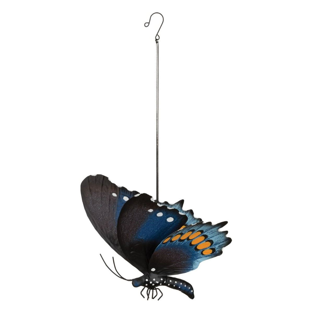 Butterfly Bouncie