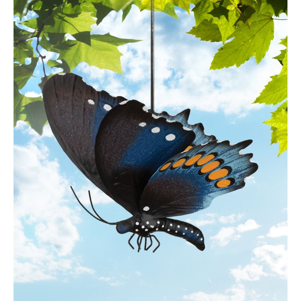 Butterfly Bouncie
