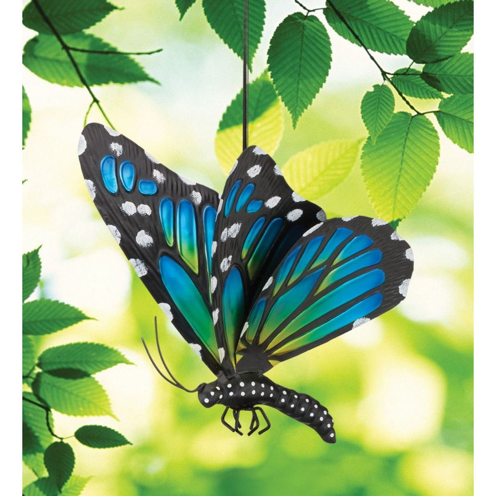 Butterfly Bouncie