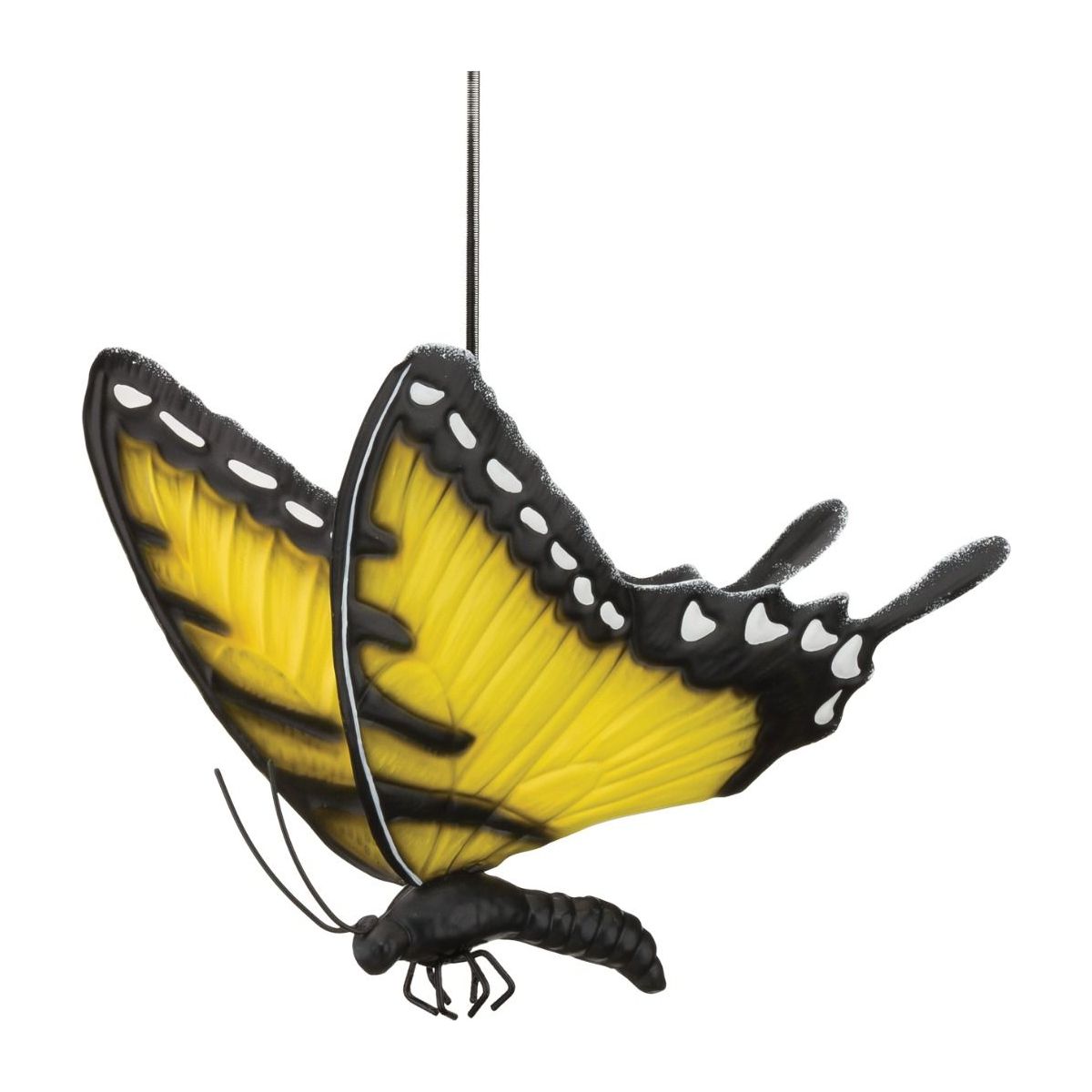 Butterfly Bouncie