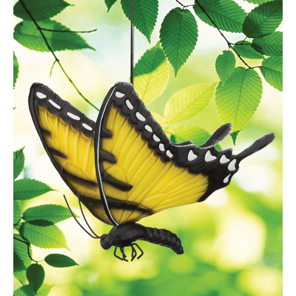 Butterfly Bouncie