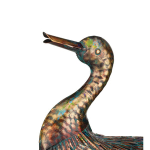 Illumine Duck