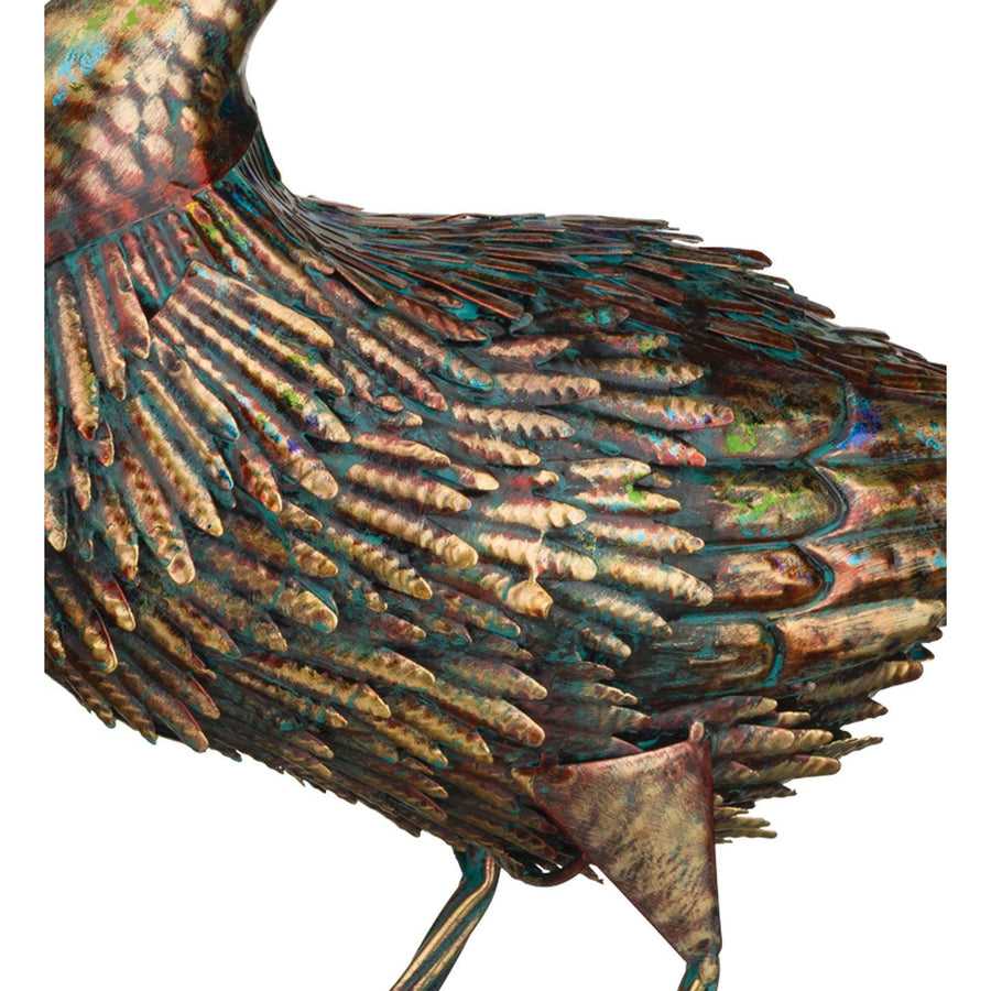 Illumine Duck