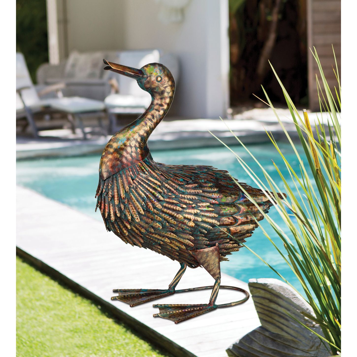 Illumine Duck